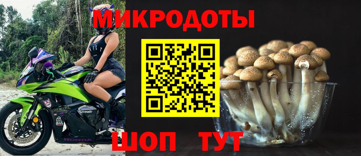 Псилоцибиновые грибы Psilocybine cubensis Вичуга